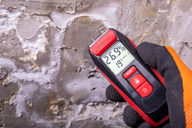 Best Crawl Space Mold Removal  in Leland, NC