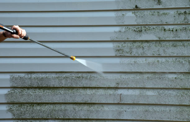 Best Residential Mold Removal  in Leland, NC
