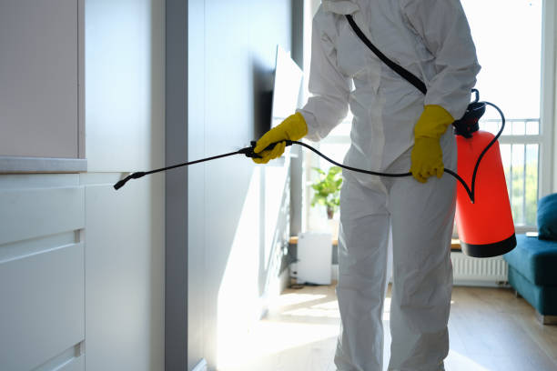 Best Office Mold Removal Services  in Leland, NC